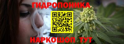 шишки Мариинск