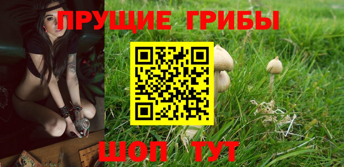 Галлюциногенные грибы мухоморы  Вход с VPN  Воскресенск 
